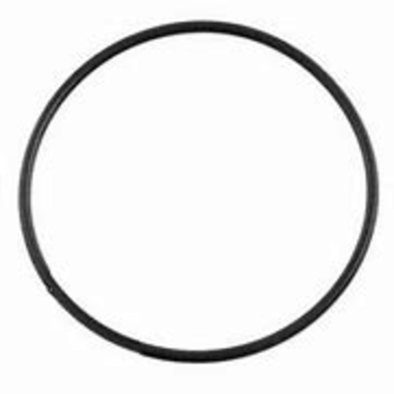 Pantera Cartridge Filter – ORING Lid