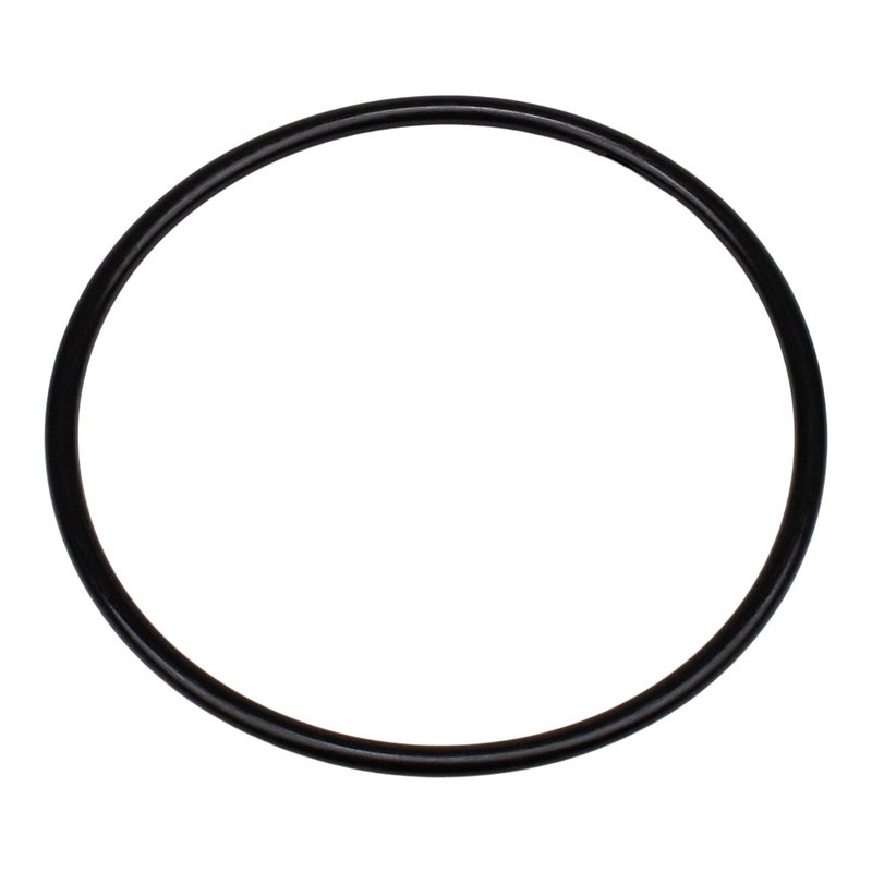Pentair 350013Z – Lid O-Ring
