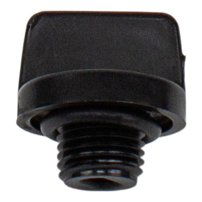 Pentair U178-920PZ – Drain Plug With O-Ring