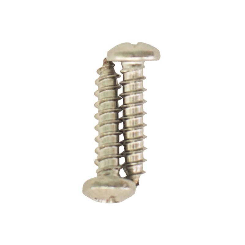 Polaris 6-302-00 – Screw, Top, #10 x 0.75 in SS Sheet Metal, Pan Head