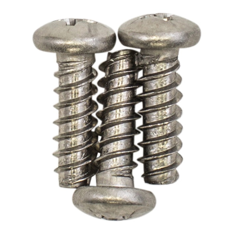 Polaris R0538200 – Screw, Self-Tapping, Canopy