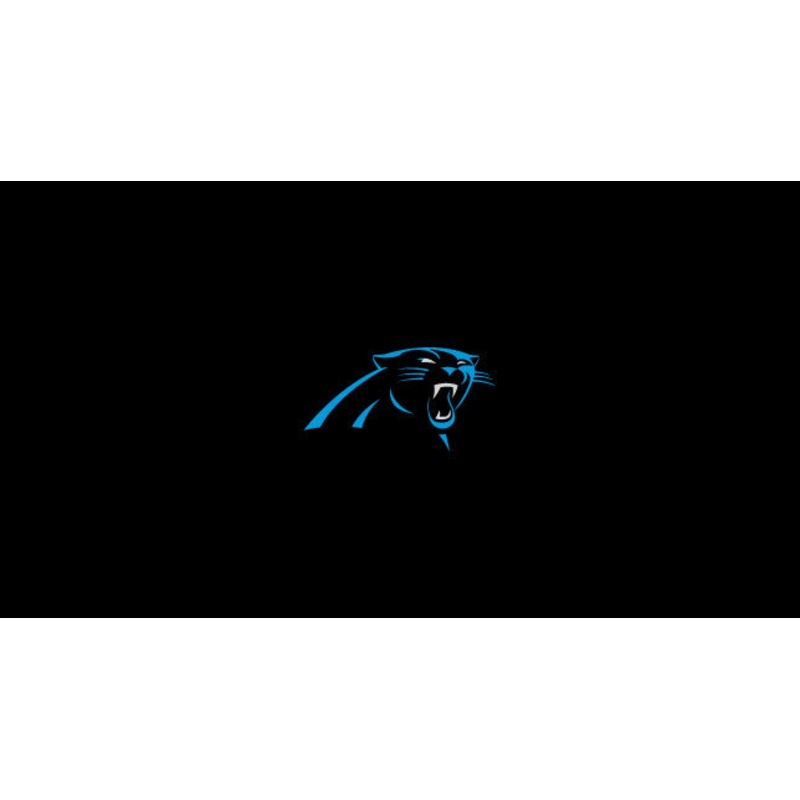 Carolina Panthers Pool Table Felt