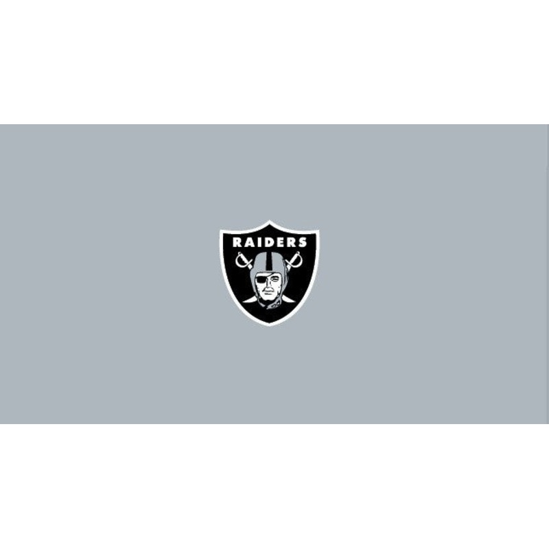 Las Vegas Raiders Pool Table Felt