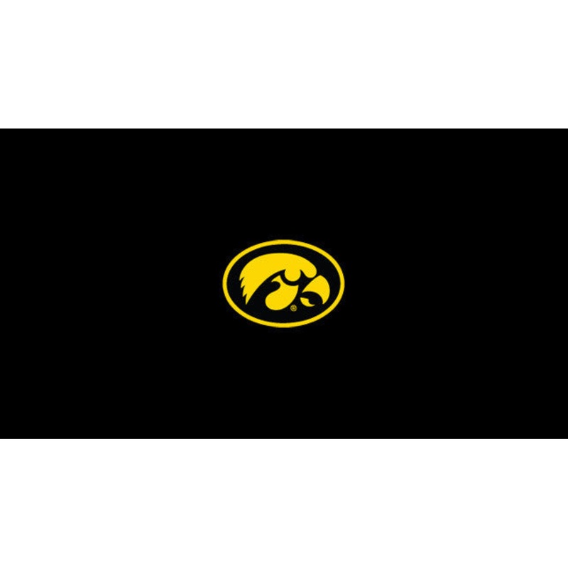 University of Iowa Pool Table Felt