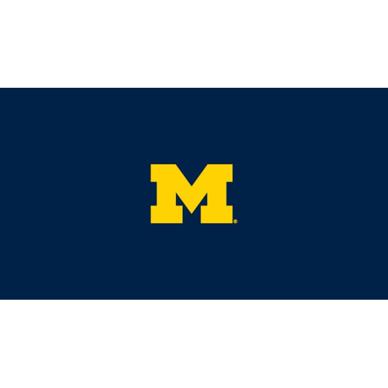 University of Michigan Pool Table Felt
