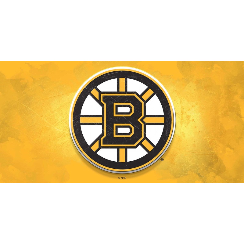 Boston Bruins Sign Glass Wall Art Logo
