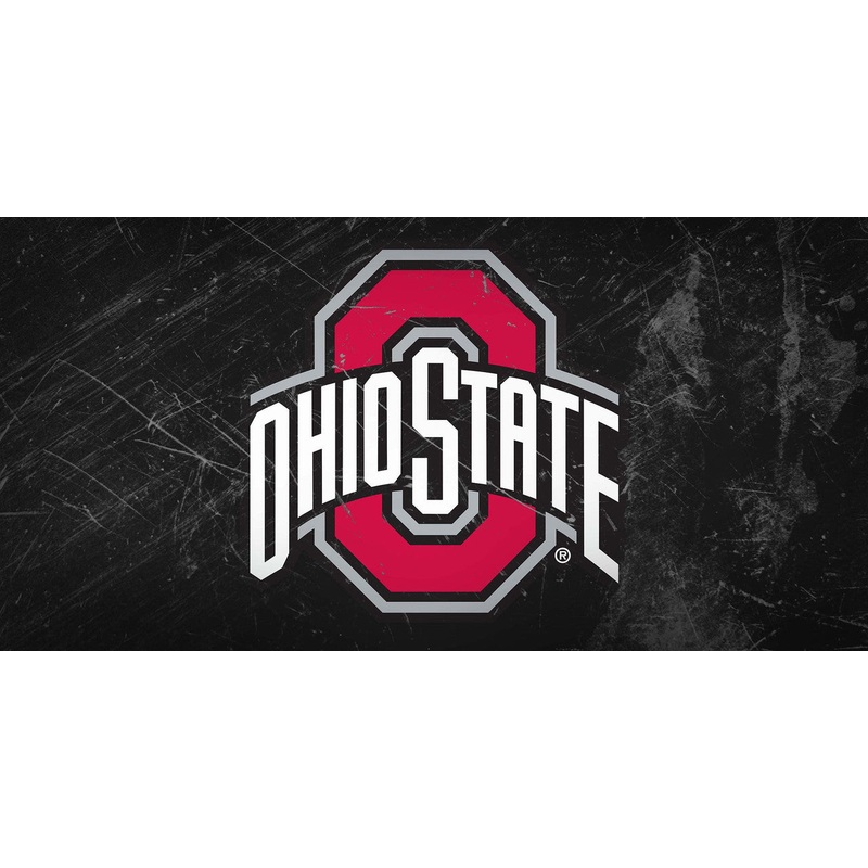 Ohio State University Sign Glass Wall Art Team Name