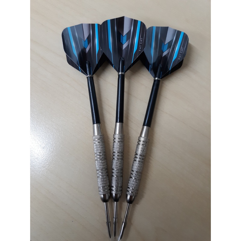 Fat Cat House Steel Tip