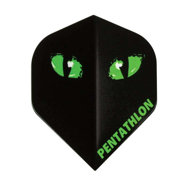 Pentathlon Standard Black Cat Flights