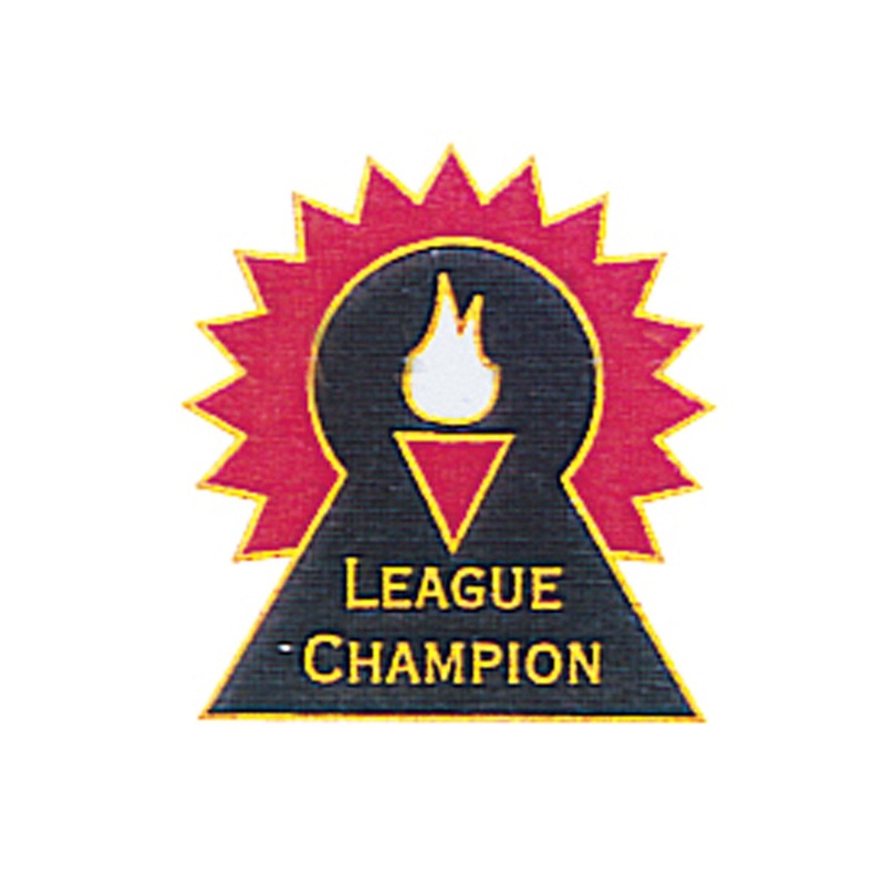 Tournament Pins League Champion