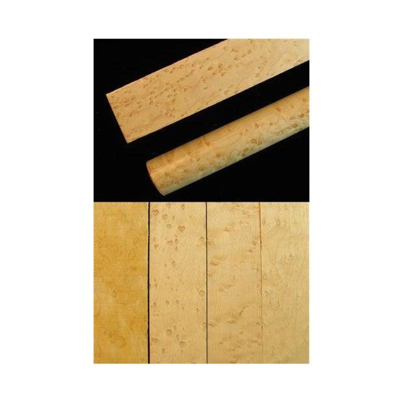 Birdseye Maple – Acer Saccharum