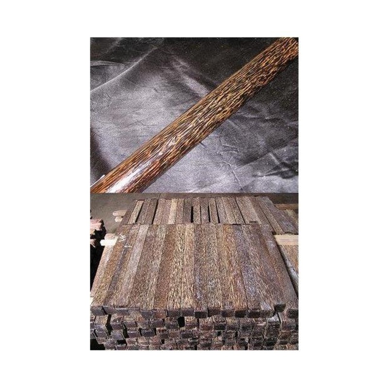 Black Palm – Borassus Flabellifer