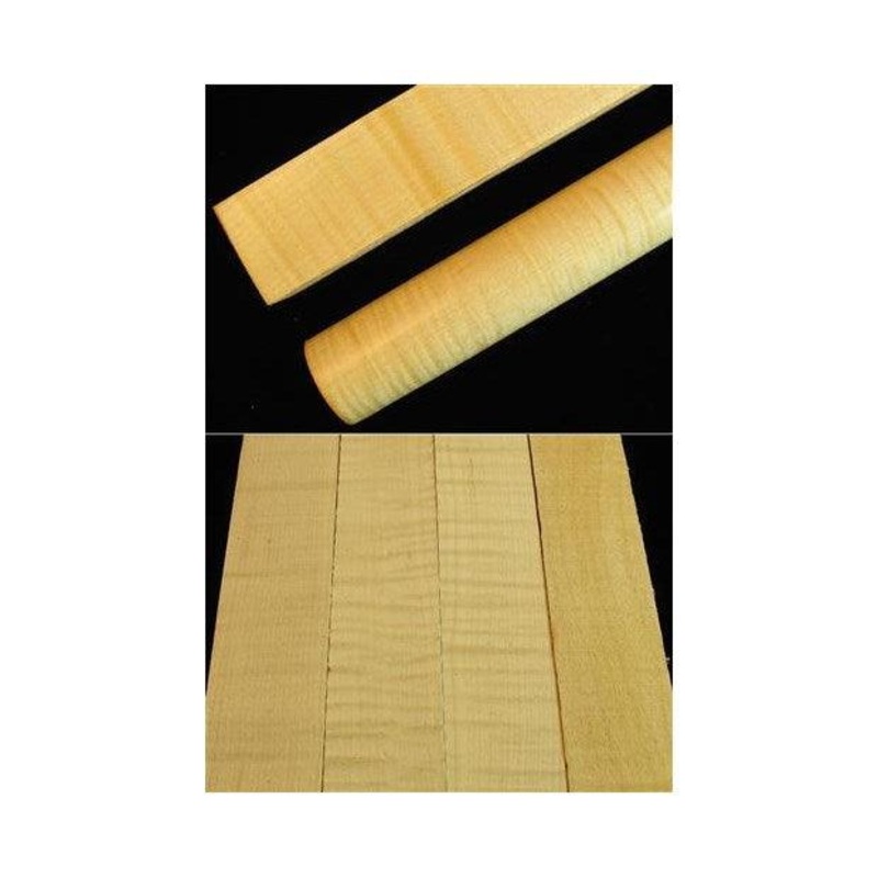 Curly Maple – Acer Saccharum