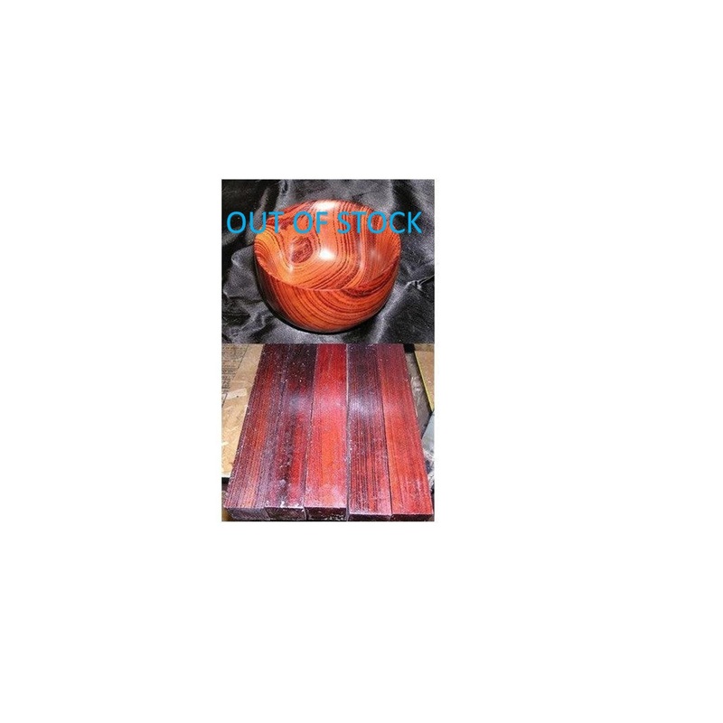 Rengas Tiger – Gluta Sp.