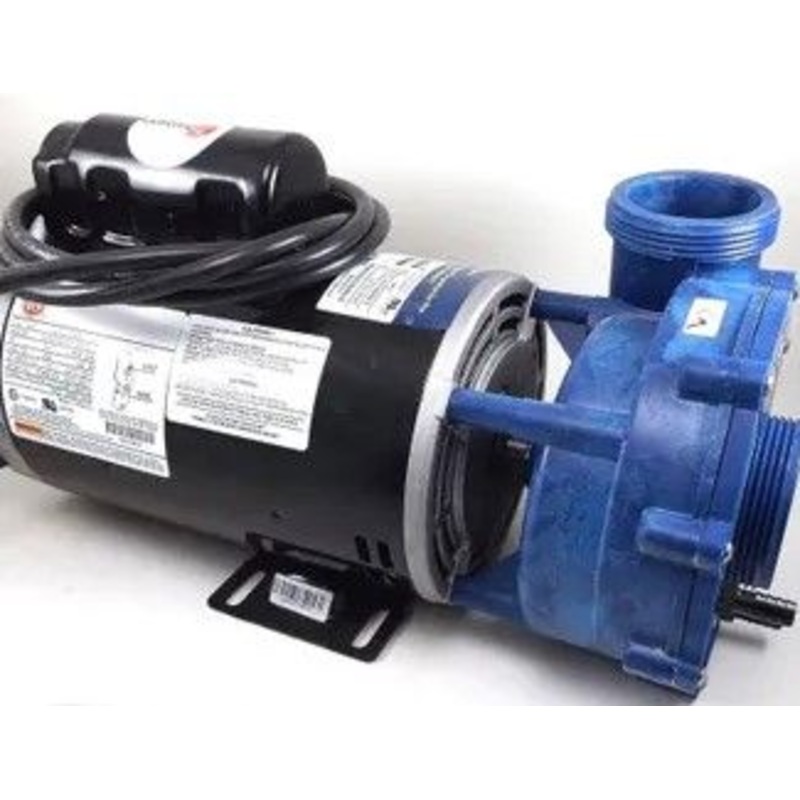 15559 Dynasty spa pump