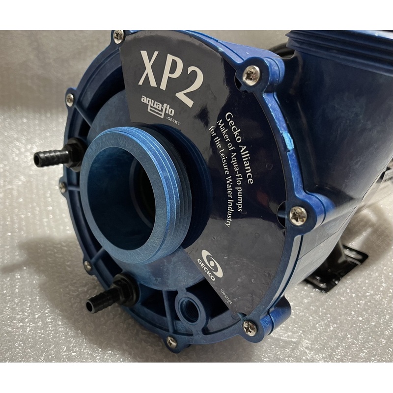 15573 Dynasty spa pump