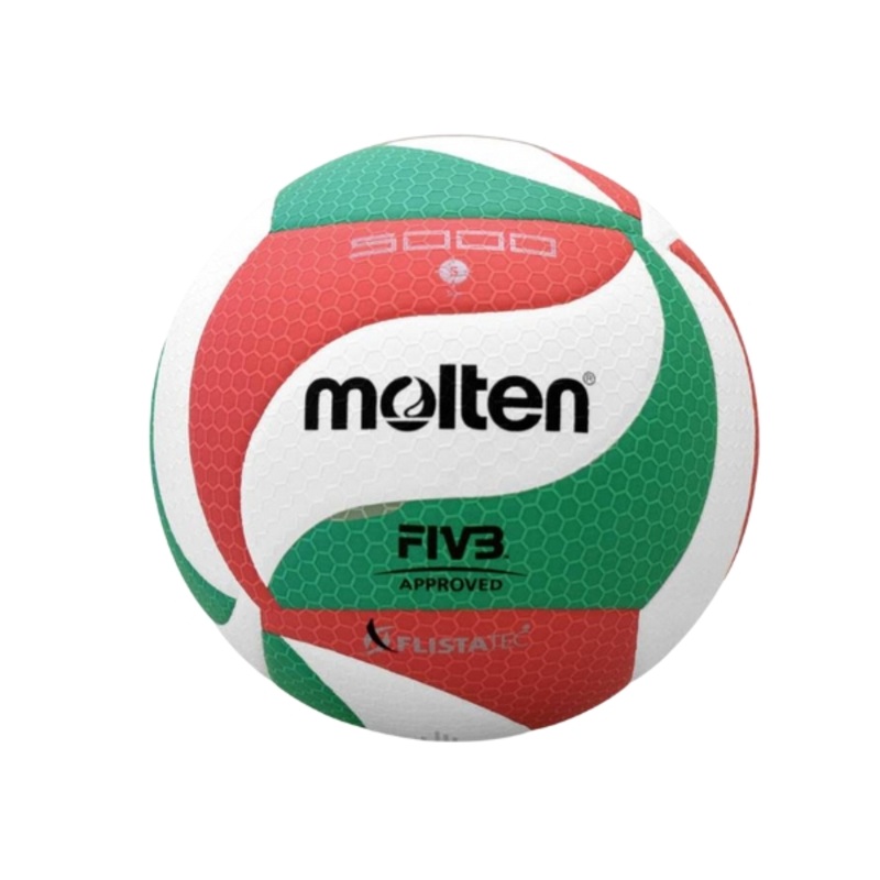 Molten Volleyball Syn. Leather #5