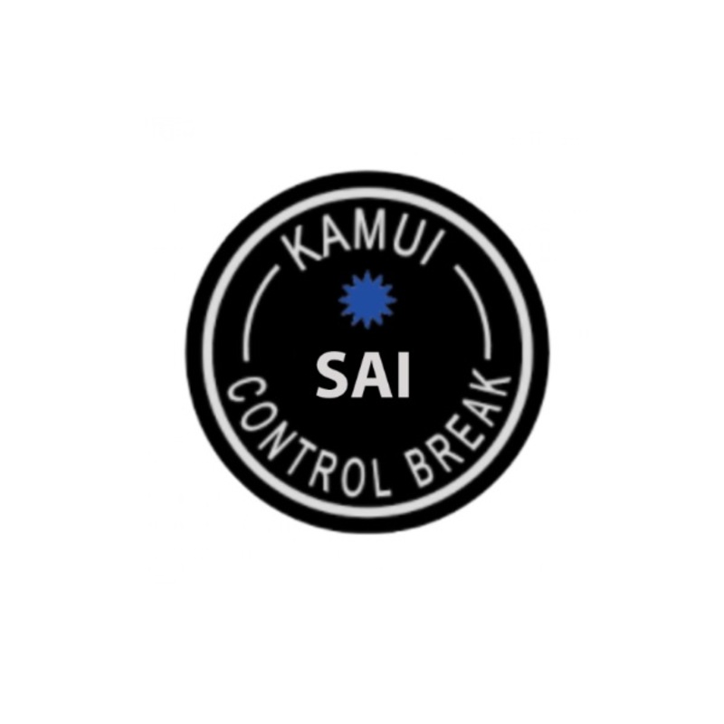 Kamui SAI Break Cue Tip  15mm