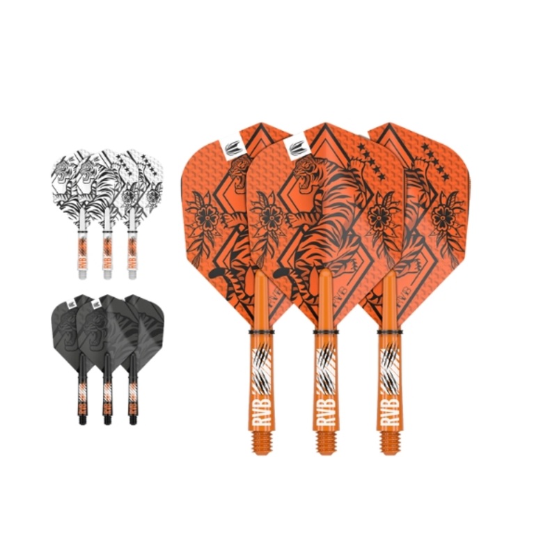 Target Raymond Van Barneveld Ink Flight & Shaft Kit Intermediate