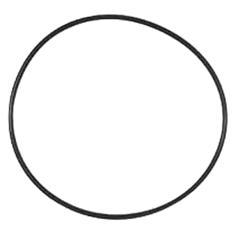 POOLRITE XL DE FILTER LID O RING