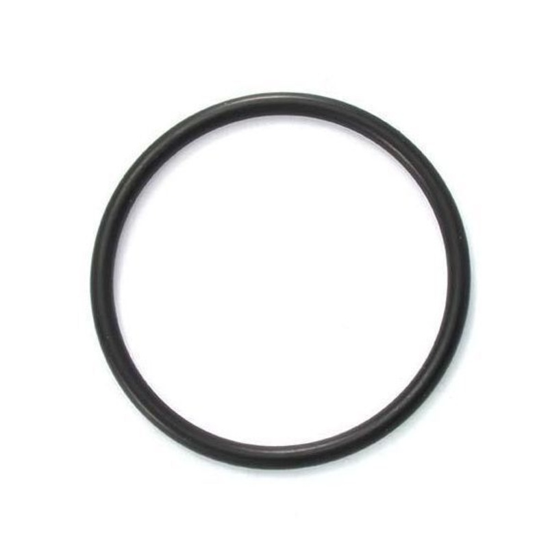 AstralPool / Viron / Hurlcon O ring for 50mm MPV union adapter E, RX series – 70009